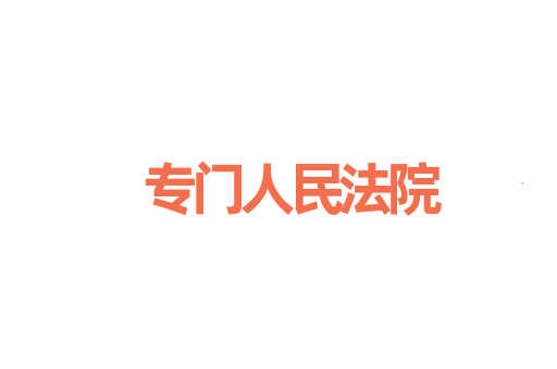 专门人民法院