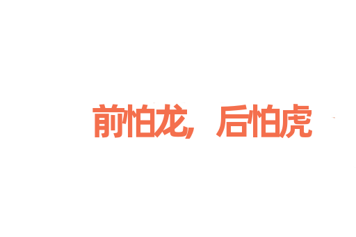 前怕龙,后怕虎
