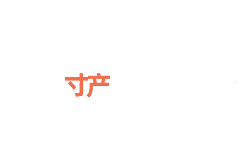 寸产