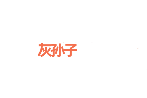 灰孙子