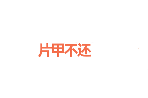 片甲不还