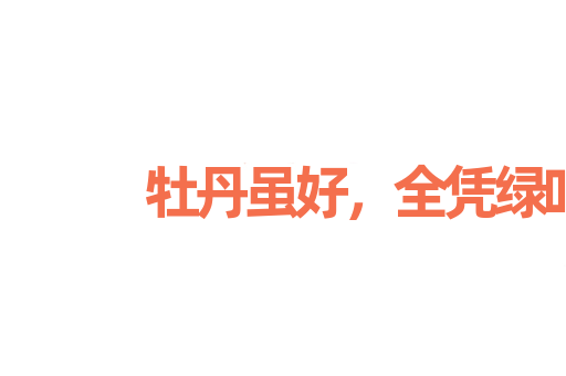 牡丹虽好，全凭绿叶扶持