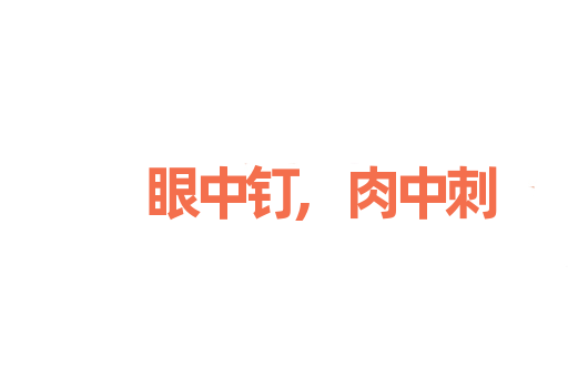 眼中钉,肉中刺