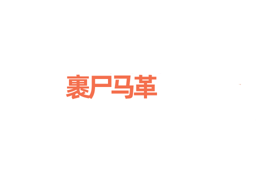 裹尸马革