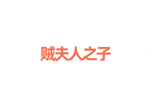 贼夫人之子