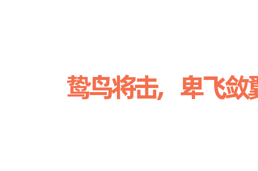 鸷鸟将击,卑飞敛翼
