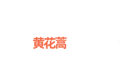 黄花蒿